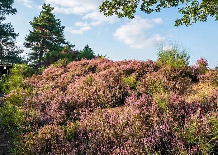 Haus Am Waldbad Whg 1 Lejlighed *